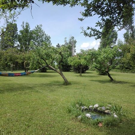 Bed and Breakfast La Vie En Rose Buia Esterno foto