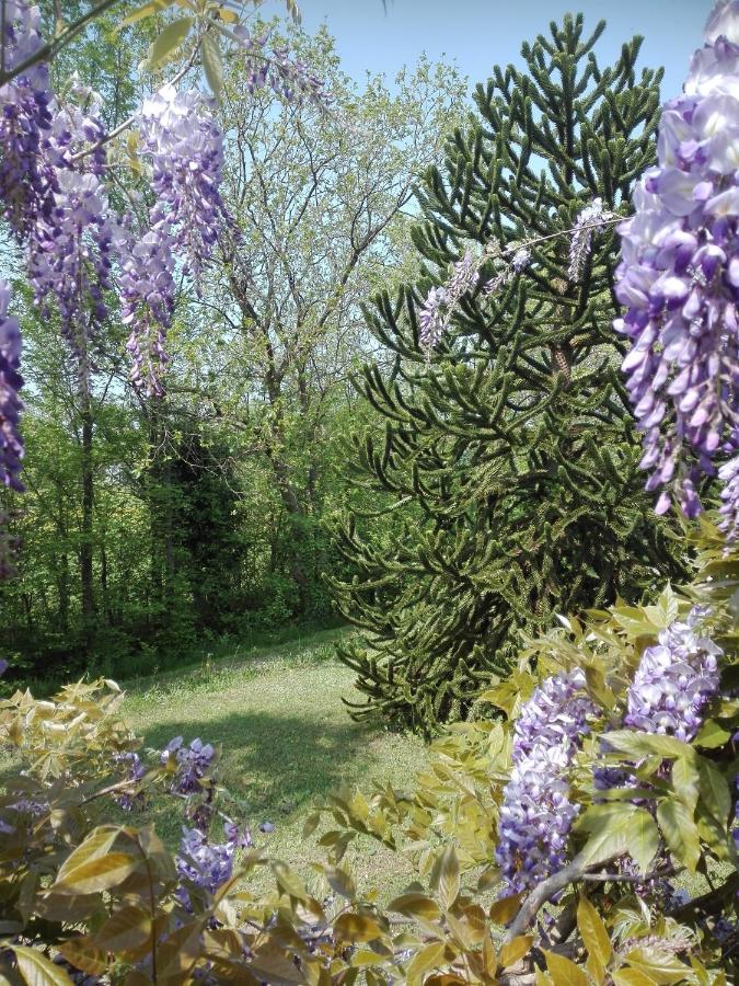 Bed and Breakfast La Vie En Rose Buia Esterno foto