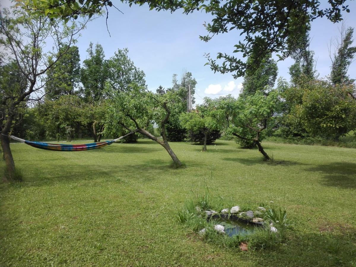Bed and Breakfast La Vie En Rose Buia Esterno foto